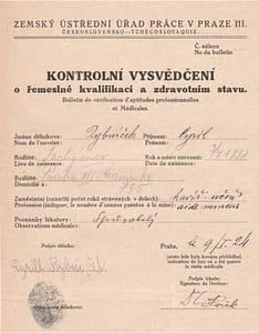 L’immigration en provenance d’Europe centrale aux Houillères de Decize : Serbes et Tchèques à La Machine (1923-1926). Contrat serbe. 26 J 7850, anciens contrats d’embauche d’ouvriers étrangers, 1924-1926, archives du musée de la mine de La Machine, Nièvre.